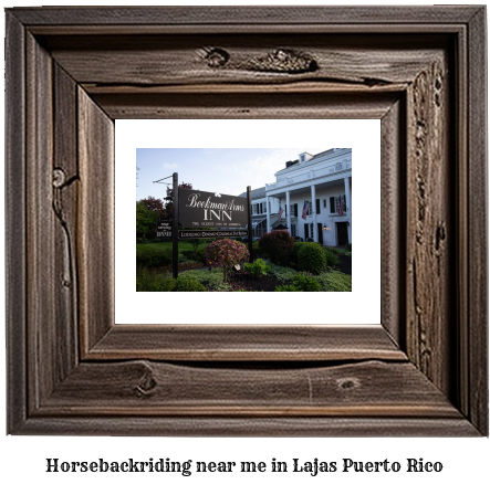 horseback riding near me in Lajas, Puerto Rico